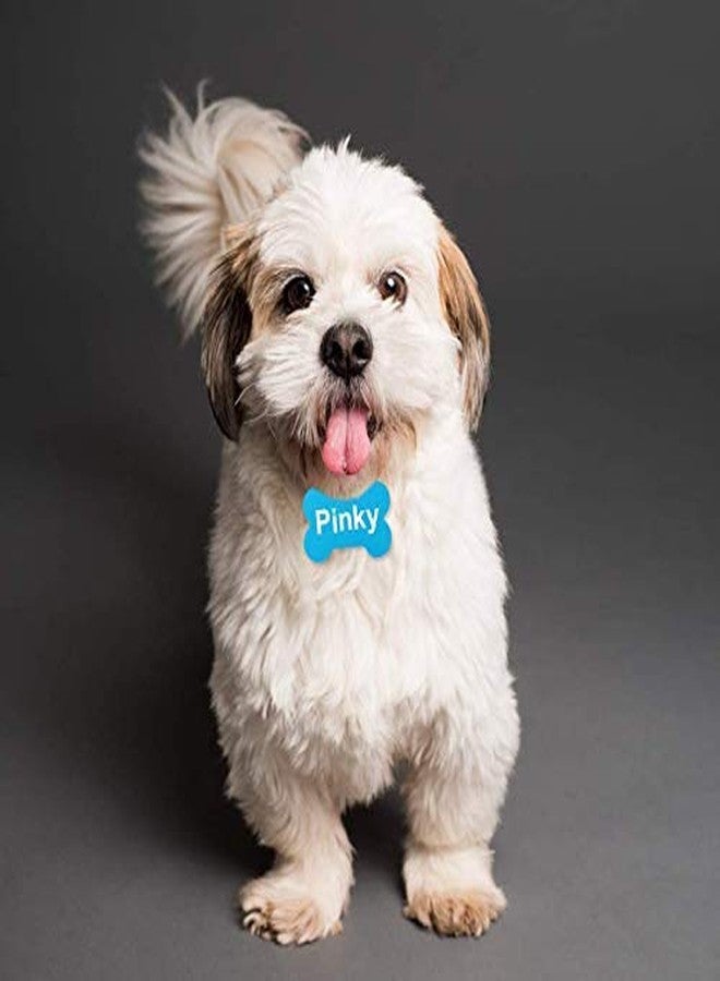 Pups&Pets Bone Shaped Name Colour Full Tags 1 pcs for Dogs, Cats,Puppy & Kittens - Multicolor - Image 4